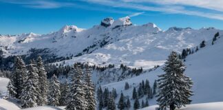 Jak jeździć w puchu?