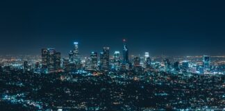 Jaka firma wędek jest najlepsza?