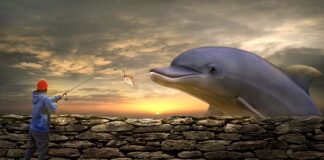 Jaką grubość żyłki na karpia powinna być?