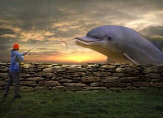 Jaką grubość żyłki na karpia powinna być?