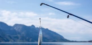 Jak dobrać haczyk do kulki proteinowej?