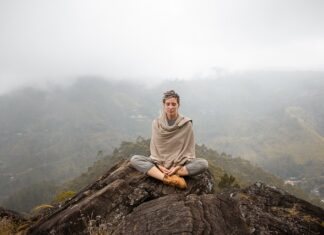 Czy Lanki to turfy? Czy Lanki to turfy?