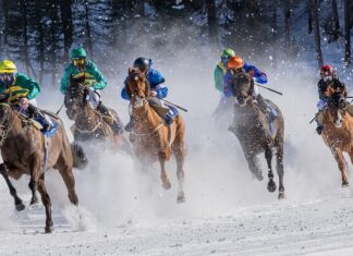 Czy można grać w Turfach na hali?