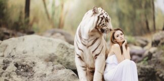 Przed czym chronią środki ochrony twarzy i oczu?