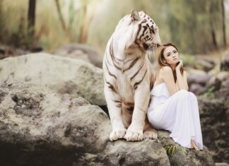 Przed czym chronią środki ochrony twarzy i oczu?