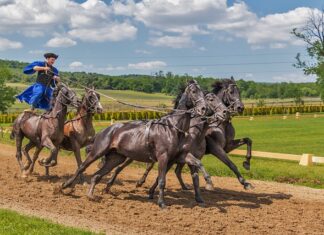 Jak się nazywa jeździec na koniu?