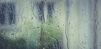 Jakie korki do 250 zł?