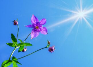 Czy w Wkrętach można grać na Orliku?