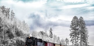 Jakie haczyki na pstrąga?