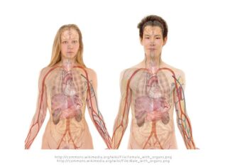 Jak uratować nerki?