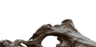 Dlaczego dziurawe getry?