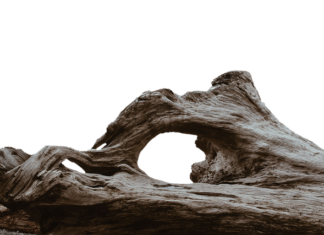 Dlaczego dziurawe getry?