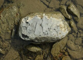 Czy Szungit jest bezpieczny?