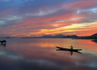 Jak łowić duże płocie?