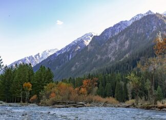 Czy można wydrukować etykietę na poczcie?