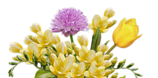 Jak zrobić wiązankę na gąbce?